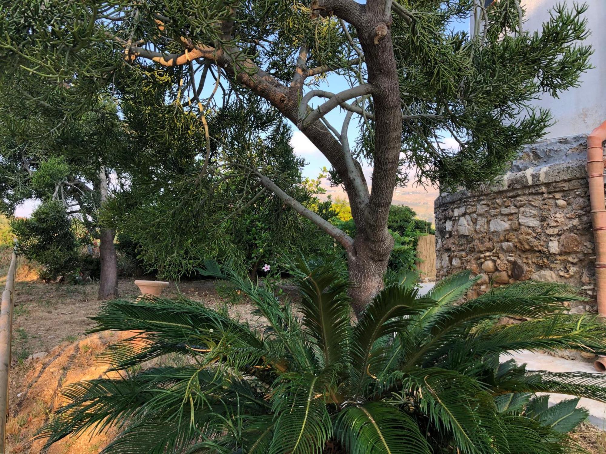 הוילה סקופלו Torre Mariza Guidaloca מראה חיצוני תמונה